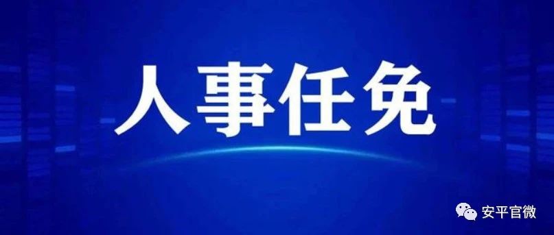 河北最新人事任免动态概览