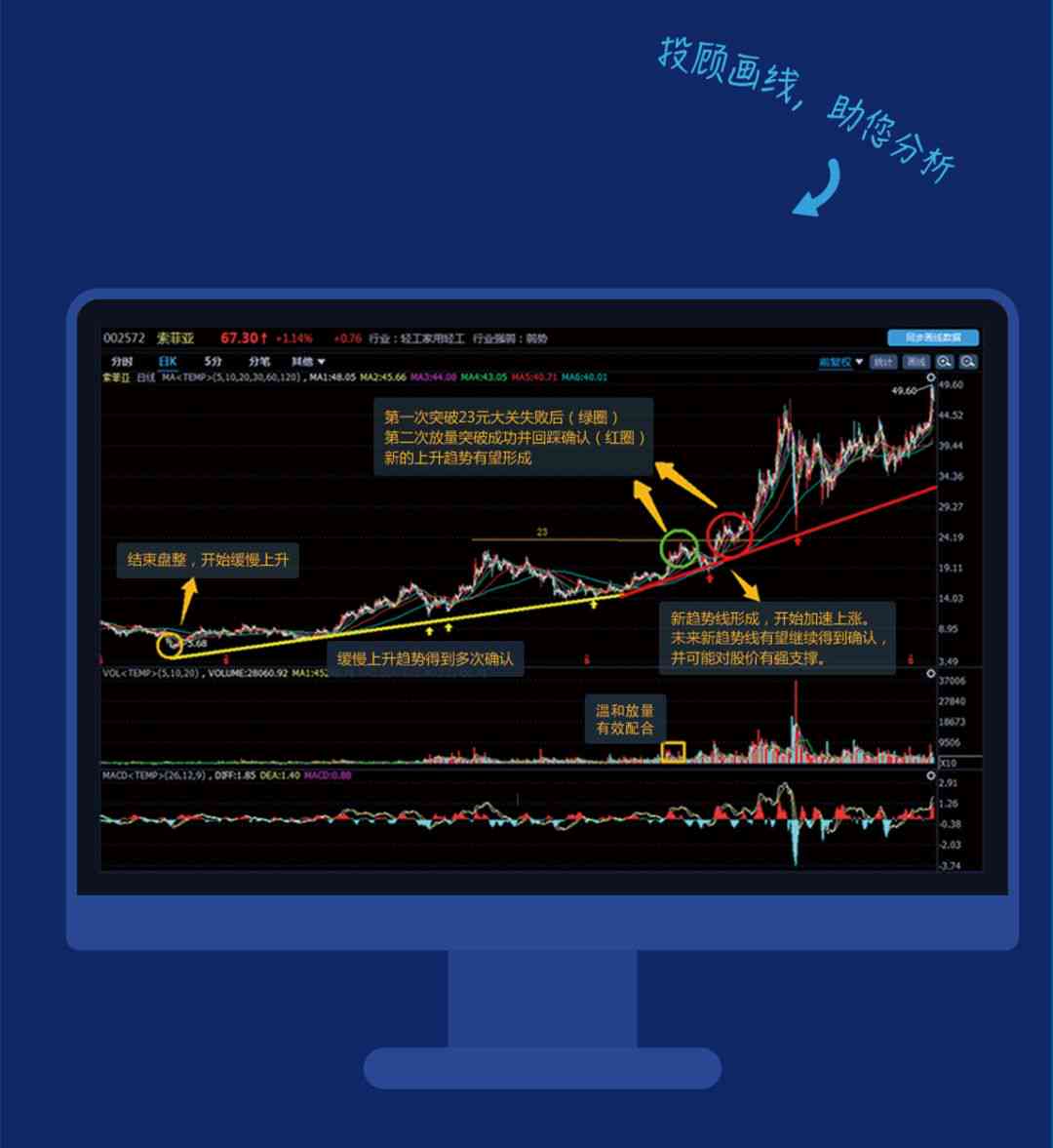 一肖一码,全面数据策略解析_策略版11.530