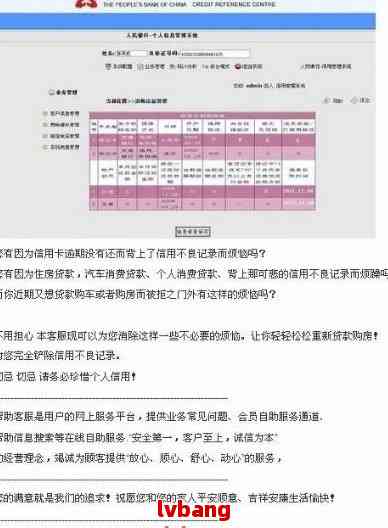 新澳2024今晚开奖结果,深度调查解析说明_标准版78.67