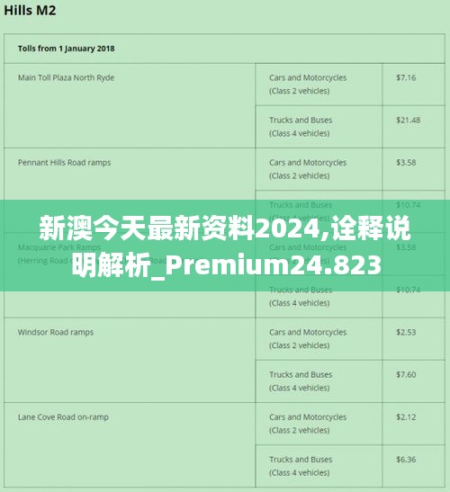 新澳2024年最新版资料,实效策略分析_Prime95.771