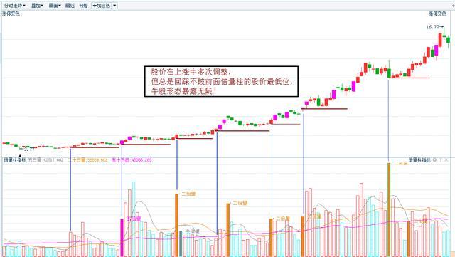 2024香港特马今晚开奖,市场趋势方案实施_Essential19.153