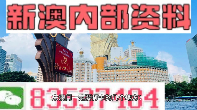 2024新澳门精准免费大全,时代资料解释落实_冒险版55.106