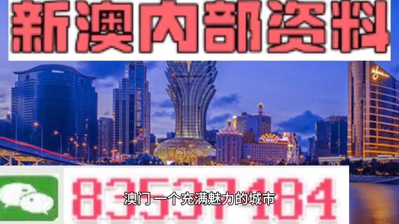 新澳新澳门正版资料,专业数据解释定义_静态版17.191