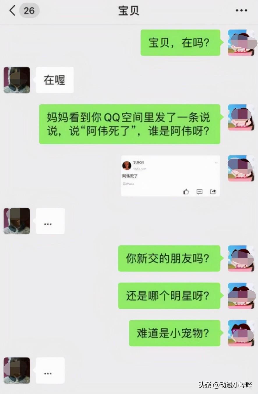 最新流行网络用语背后的文化现象与社会变迁探究