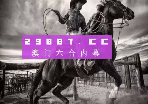 澳门马买马网站com,实践研究解释定义_尊享版89.558