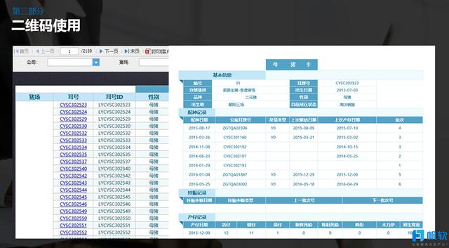 2024澳门今天特马开什么,实地计划设计验证_豪华版19.933