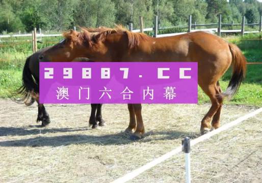 4949澳门特马今晚开奖｜广泛的解释落实方法分析