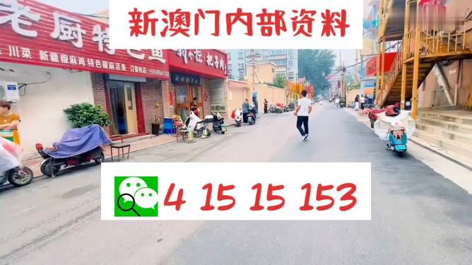 2024澳门天天开好彩大全162｜全面数据应用分析