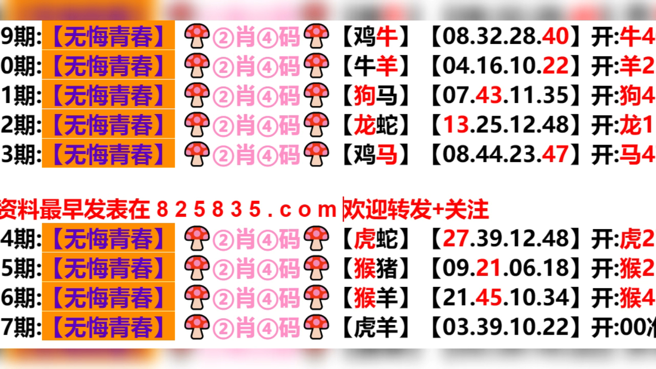 2024新澳门天天开好彩大全孔的五伏,未来解答解释定义_进阶版19.312