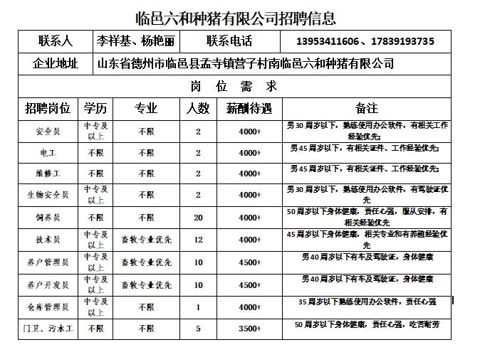 临邑本地最新招工信息概览