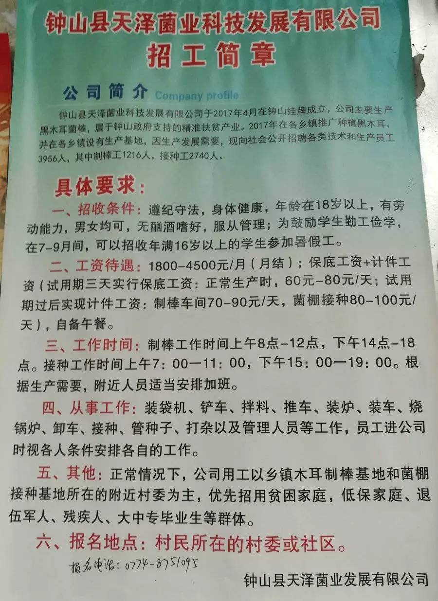 新密最新招聘半天工作机会探索