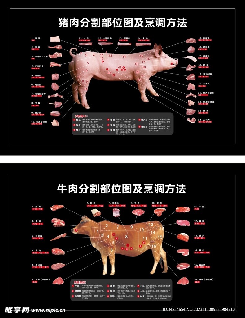 最新猪肉分割视频教程，提升效率与品质，掌握分割技巧