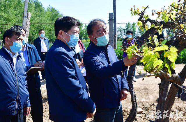 赵县最新县委书记，引领地方发展的杰出领导者