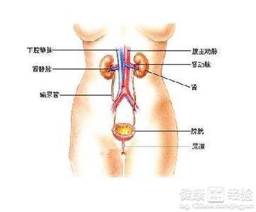 肾囊肿最新治疗方法研究及进展