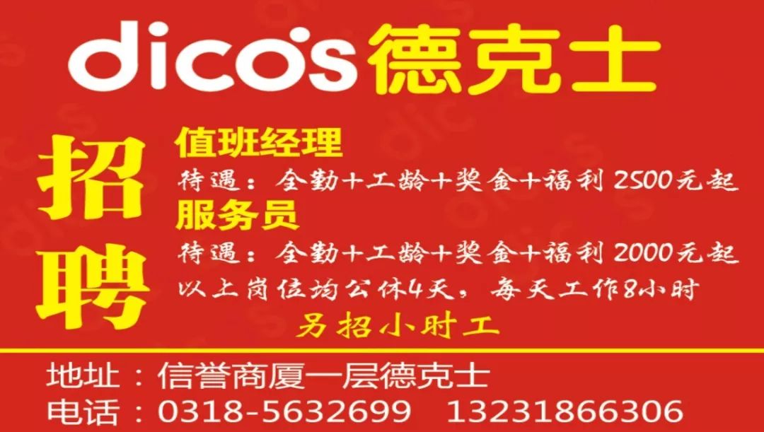 新泰鲁抗赛特最新招聘信息与职业机会深度探讨