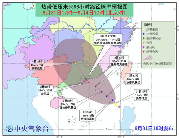 台凤玛娃最新动向，动态更新、影响分析与实时追踪报道