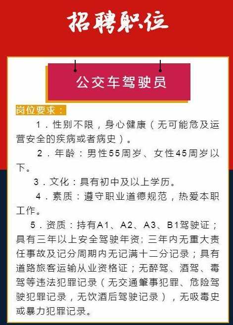 镇雄驾驶员最新招聘启事，职业发展与未来的呼唤，呼唤优秀驾驶员加入