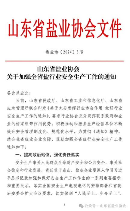 山东盐业政策最新动态，深度解读与消息一览