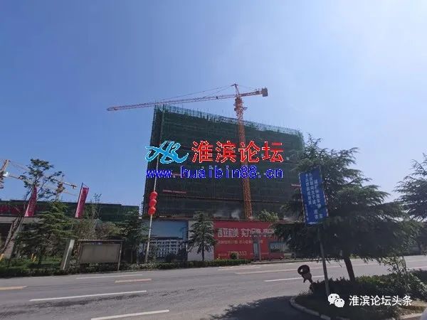 淮滨银牡丹展现新活力与发展前景，最新消息速递