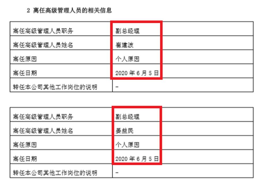 新华保险最新排名消息，行业地位稳固，未来发展展望亮眼