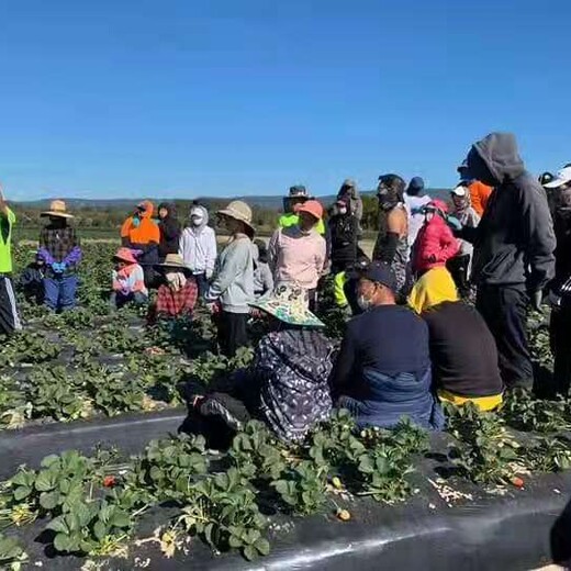 北京奥一农场最新招聘启事发布