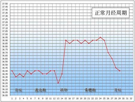 最新体温单绘制标准详解及指南