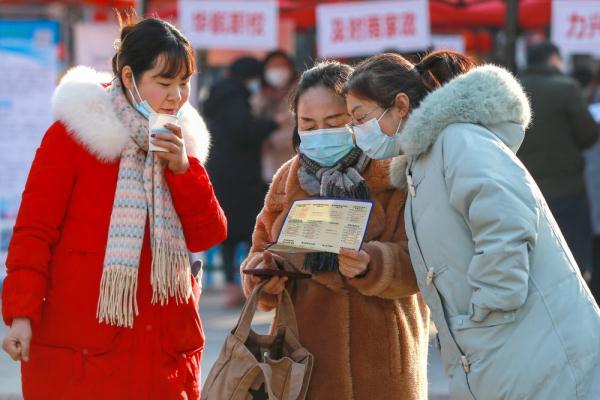 邹城人才市场最新招聘动态深度解析及招聘资讯