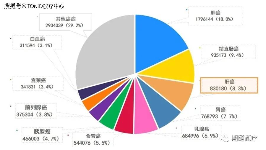 全球肺病人数状况，最新数据、全球态势与应对策略