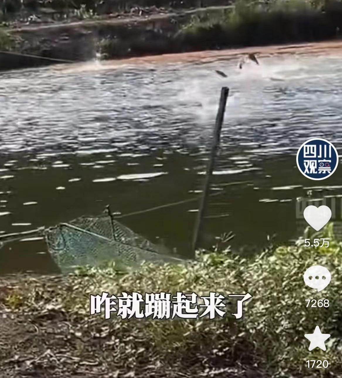 武汉遭遇最新地震，挑战与重建之路