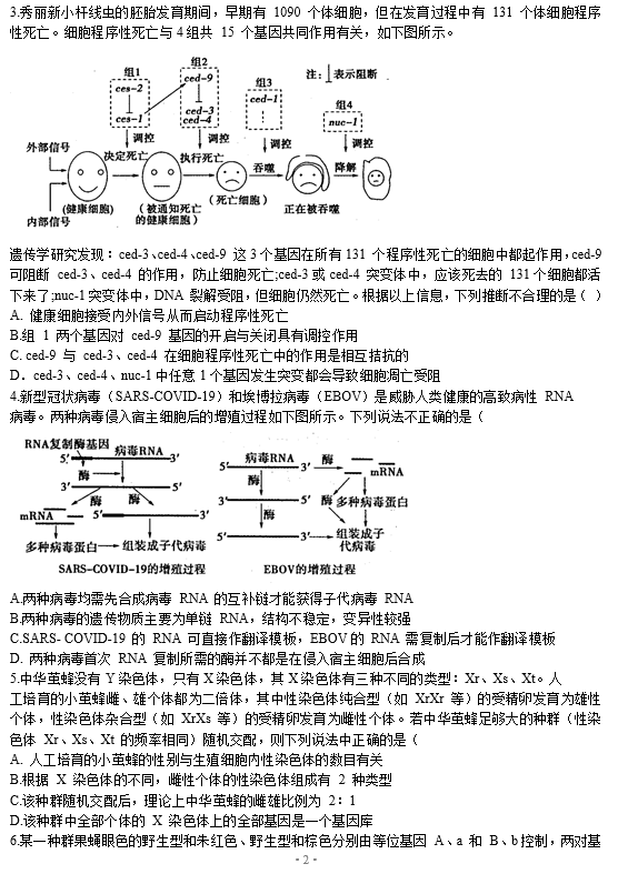 照片最新版，时代变迁的艺术与科技的完美结晶记录者