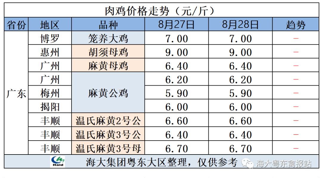 肉鸭最新价格及动态分析概述