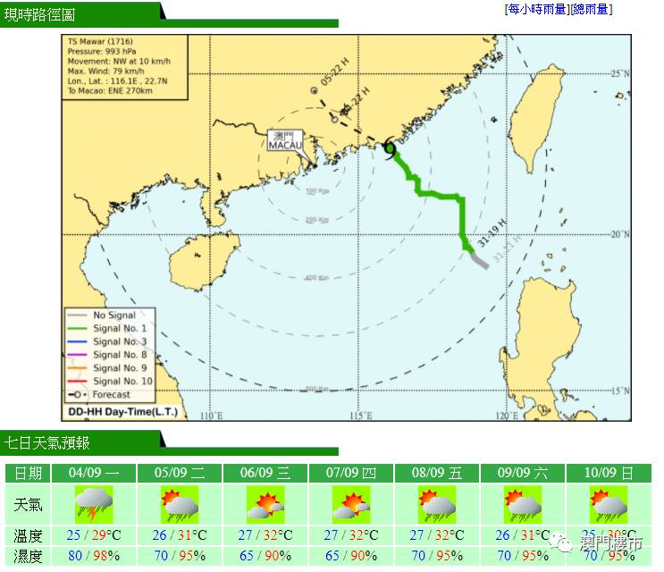 香港台风最新动态，风雨中的坚守与应对