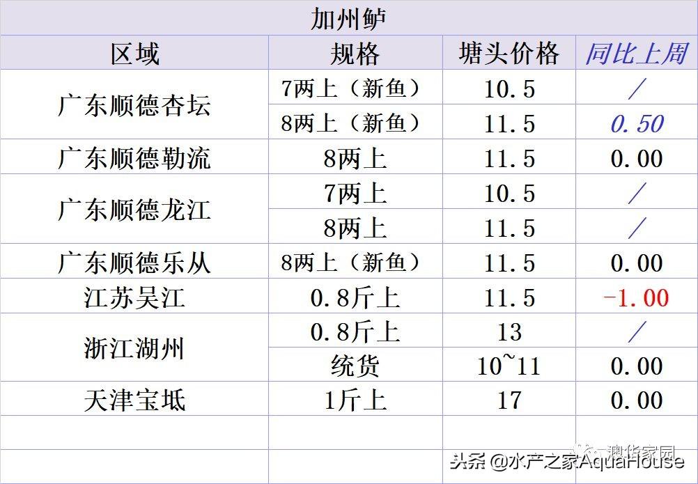 最新加州鲈鱼价格及动态分析