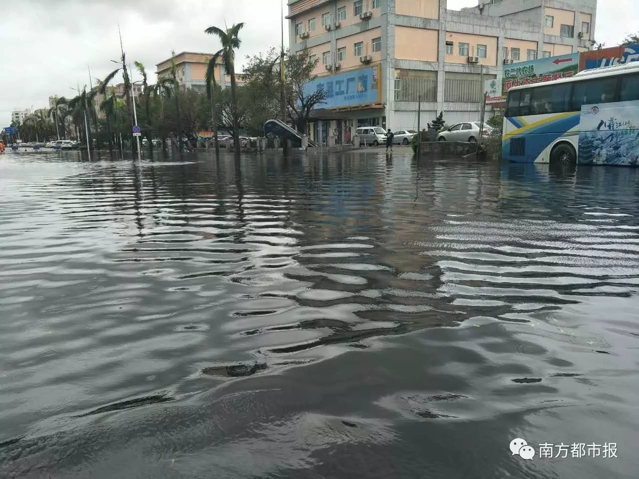 广东暴雨最新消息，影响及应对措施全解析